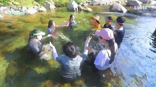 한국기행 - Korea travel_여름에는 무작정 3부- 목청 높여 여름_#002