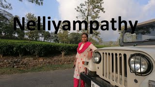 Nelliyampathy Hills ||നെല്ലിയാമ്പതിയിൽ കാണേണ്ട സ്ഥലങ്ങൾ || Kesavan Para, Seetharkundu.