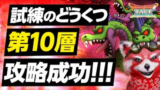 【ドラクエタクト】試練のどうくつ  第10層 クリアできたぞぉぉぉぉ！！【やまたのおろちの試練 / ノーデス攻略】