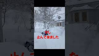 【北海道冬の様子】1月2日　1日雪でした、☃️2回雪掻きしました