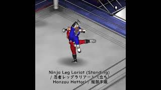 Ninja Leg Lariat (Standing) / 忍者レッグラリアート（立ち）World Heroes Hanzou Hattori FirePro ワールドヒーローズ 服部半蔵 ファイプロ