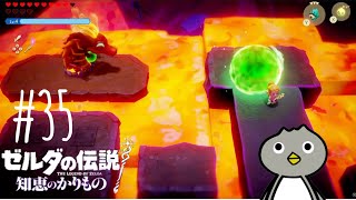 シェンロンがサラダボウル出してくるww【ゼルダの伝説 知恵のかりもの】 #35