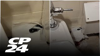 Hidden camera found inside Hamilton Tim Hortons bathroom