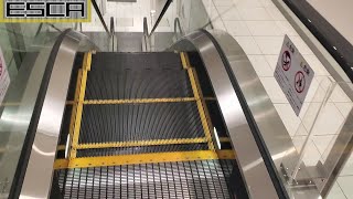 原宿アルタ エスカレーター 1F-B1F Harajuku ALTA Escalator