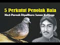 5 PERKUTUT PENOLAK BALA || Nomer 5 Pernah Dipelihara Oleh Sunan Kalijaga ||