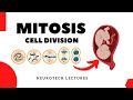 Mitosis Cell Division (Neurotech Lectures)