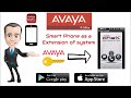 avaya ip phone system