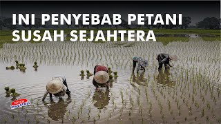 PERMASALAHAN KLASIK PERTANIAN DI DI INDONESIA