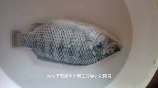 神奇熱水4：吳郭魚(羅非魚)泥土味和魚腥味的去除方法及做法