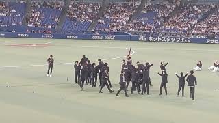 [国際野球]侍ジャパンVSチェコ代表強化試合 試合前セレモニー　2024年11月9日