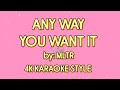 ANY WAY YOU WANT IT MLTR 4K KARAOKE STYLE #mltr