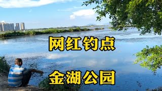 金湖公园的鱼都被谁搞走了？20个钓友就上了两条鱼！珠海钓点金湾钓点金湖公园 钓鱼 钓点