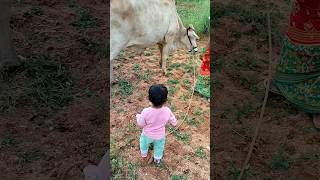 పల్లెటూరి గుండె దైర్యం 💪#villagelifestyle #cuteboy #youtubeshorts #shortsfeed #shorts