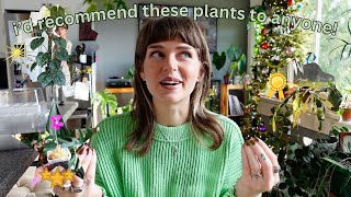 my TOP 10 favourite houseplants of 2023!🥇🌿