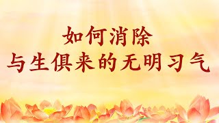 卢台长【节目录音+字幕】如何消除与生俱来的无明习气《玄艺问答》