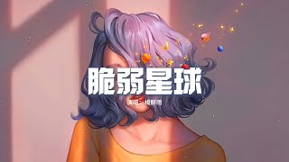 楊胖雨 - 脆弱星球（原唱：王薇OneWay）『這個星球偶爾脆弱，而我也偶爾想與你沉沒。』【動態歌詞MV】