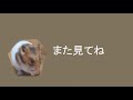 マスク周り流れ動画vol.09（フェイスシールド周り流れの可視化）