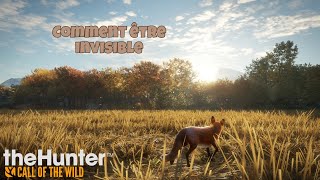 Comment être 100% invisible sur the hunter call of the wild en 2024