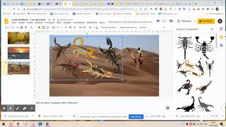 Realizarea unei prezentări în google slide