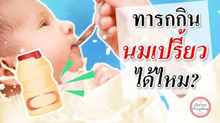 อาหารทารก : ทารกกินนมเปรี้ยวได้ไหม? | อาหารเด็กทารก | เด็กทารก Everything