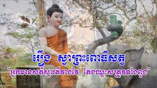 138_រឿង ស្វាពោធិសត្វ_អ្នកមានសតិស្មារតីវាងវៃ តែងឈ្នះសត្រូវទាំងពួង_ប្រជុំនិទានជាតក ភាគ៣