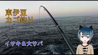 2024年7月上旬　東伊豆カゴ釣りでイサキと大サバ