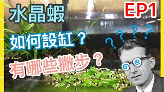 我們的水晶蝦缸如何設缸EP1