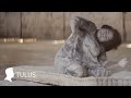 TULUS - Ruang Sendiri (Music Video)