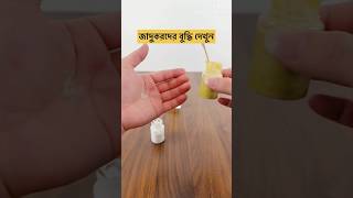 কিভাবে বোকা বানাচ্ছে দেখুন #shorts