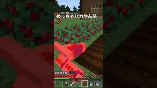 めっちゃバカな行商人と遭遇＃行商人＃マイクラ＃マインクラフト＃アホ