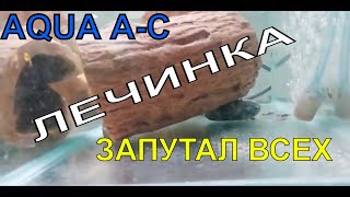 ЛИЧИНКА АНЦИСТРУСОВ И РАЗМЫШЛЯЕМ О ПЕРЕСАДКЕ МАЛЬКА