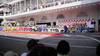 2012第35回柏まつり市立柏高校110729-8