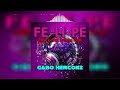 fe li pe remix gabo herconz y como se llama usted tiktok mix 2024