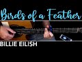 BIRDS OF A FEATHER (Billie Eilish) Fingerstyle Guitar