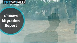 Climate Refugee: A new term to be identified