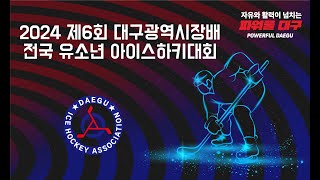 [2024 제6회 대구광역시장배 아이스하키대회] 저학년 블리츠A VS 워리어래빗츠