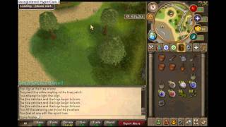 Runescape Tree Patches Guide