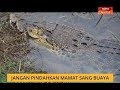 Jangan pindahkan Mamat sang buaya