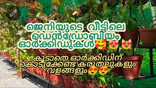 ജെനിയുടെ വീട്ടിലെ ഡെൻഡ്രോബിയം ഓർക്കിഡുകൾ🥰😻💓 കൂടാതെ ഓർക്കിഡിന് വേണ്ട കരുതലുകളും😍👍🏽#fullvideo#orchids