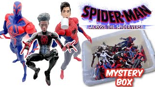 ACROSS THE SPIDER-VERSE Mystery Box!  Best Spidey Movie EVER!?!?!