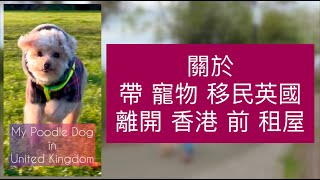 關於 帶 寵物 移民英國 離開香港 前 租屋