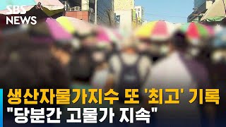 6월 생산자물가지수 또 '최고' 기록…\