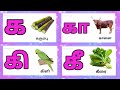 க கா கி கீ / ka kaa ki kee / Learn uyir mei eluthukkal for kids @Elatekidz-ql1yk