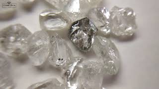 રફ હીરાની અછત સાથે હીરા ઉદ્યોગ 2021 | Shortage In Rough Diamond | Chintan Dhola