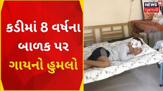 Mehsana News : કડીમાં 8 વર્ષના બાળક પર ગાયનો હુમલો | Cow Attacked | Kadi | News In Gujarati