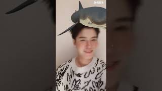 20221218 Zheng YeCheng Douyin :) so cute!!  shark!!! #郑业成 #zhengyecheng #鄭業成 #정업성 #trinhnghiepthanh