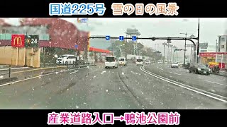 【かごしま風景293】雪の日風景～国道225号産業道路入口→鴨池公園前 (2025.2.5)