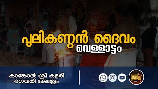 പുലിക്കണ്ഠൻ ദൈവം വെള്ളാട്ടം | കാങ്കോൽ ശ്രീ കളരി ഭഗവതി ക്ഷേത്രം