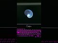 Amazing Graphics Animation Using Python Turtle 😎 | Python Tutorial #shorts