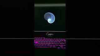Amazing Graphics Animation Using Python Turtle π | Python Tutorial #shorts